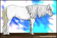 Horse Color:Watercolor White Spotted Buckskin Ice Dun Appaloosa 