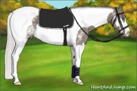 Horse Color:White Spotted Silver Black Splash Tobiano Frame