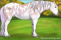 Horse Color:Watercolor White Spotted Chocolate Palomino Dun Sabino Near Leopard