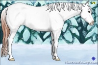 Horse Color:Bay Snowflake Varnish