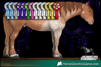 Horse Color:White Spotted Bay Pearl