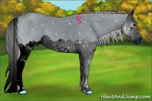 Horse Color:ERROR: UNKNOWN ANOMALY