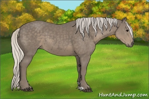 Horse Color:Silver Smoky Black Sabino 
