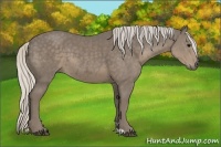 Horse Color:Silver Smoky Black Sabino 