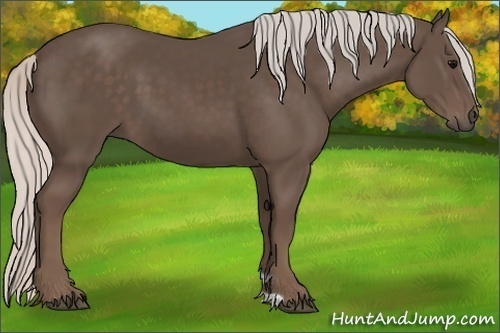 Horse Color:Silver Black 