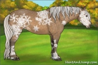 Horse Color:Silver Buckskin Ice 