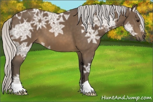Horse Color:Silver Buckskin Ice 