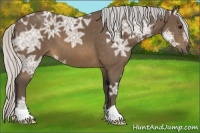 Horse Color:Silver Buckskin Ice 