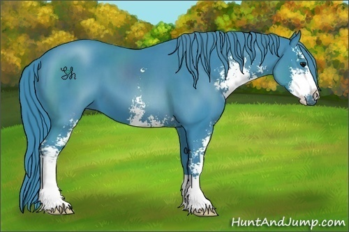 Horse Color:Watercolor Black Sabino 
