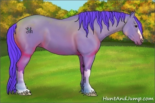 Horse Color:Watercolor Bay 