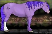 Horse Color:Watercolor Classic Champagne 