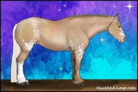 Horse Color:White Spotted Silver Black Pearl Sabino