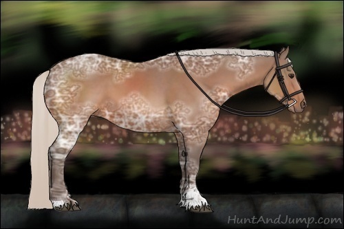 Horse Color:Silver Bay Ice Sabino 