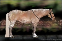 Horse Color:Silver Bay Ice Sabino