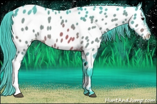 Horse Color:Watercolor Bay Appaloosa 