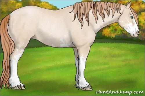 Horse Color:Smoky Black Pearl Sabino Rabicano 