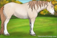 Horse Color:Smoky Black Pearl Sabino Rabicano 