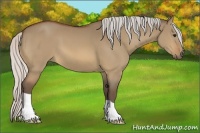 Horse Color:Silver Bay Dun