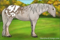 Horse Color:Chestnut Mushroom Varnish 