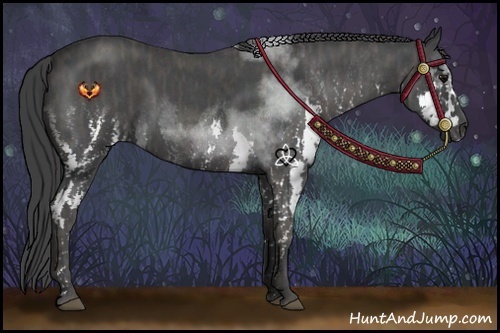 Horse Color:Blue Roan Splash  Brindle