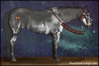 Horse Color:Blue Roan Splash  Brindle