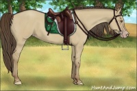Horse Color:Classic Cream Champagne Dun