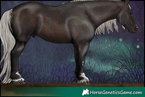 Horse Color:Silver Brown