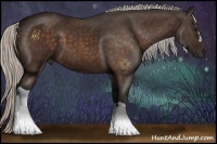 Horse Color:Silver Bay