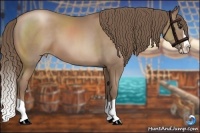 Horse Color:Black Pearl Splash 