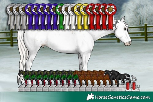 Horse Color:Silver Black Ice Sabino
