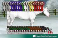 Horse Color:Silver Black Ice Sabino 