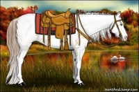 Horse Color:Bay Pearl Dun Sabino 