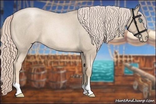 Horse Color:Chocolate Palomino Roan Pearl 