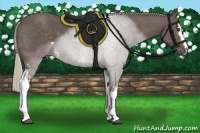 Horse Color:White Spotted Silver Black Sabino 