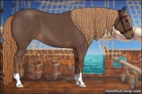 Horse Color:Liver Red Roan 
