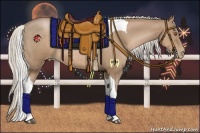 Horse Color:Silver Black Pearl Tobiano Rabicano