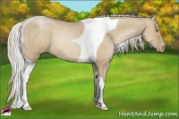 Horse Color:Silver Grullo Pearl Tobiano Rabicano 