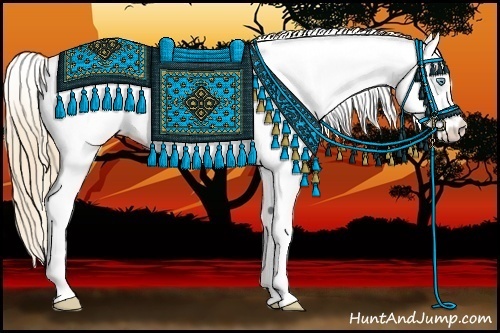 Horse Color:White Spotted Perlino