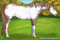 Horse Color:Red Roan Sabino Frame 