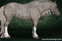 Horse Color:Silver Blue Roan Rabicano 