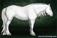 Horse Color:White Spotted Silver Black Splash Appaloosa