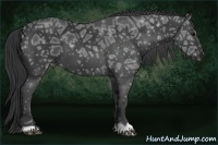 Horse Color:Black Ice 