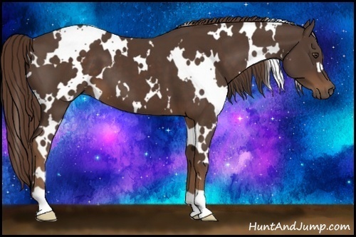 Horse Color:White Spotted Liver Chestnut 
