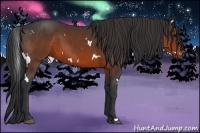 Horse Color:White Spotted Brown 