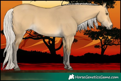 Horse Color:Silver Buckskin Dun 