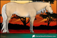 Horse Color:Silver Buckskin Dun 