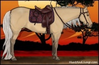 Horse Color:Silver Buckskin Dun 