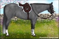 Horse Color:Blue Roan Splash 