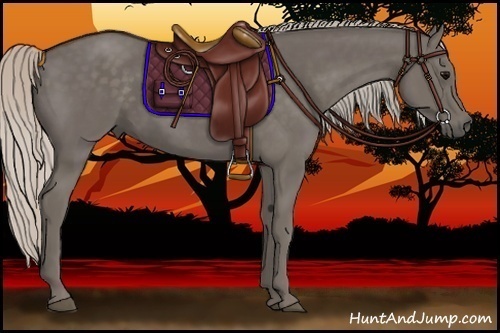 Horse Color:Silver Black 