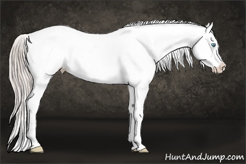 Horse Color:Chocolate Palomino Pearl Sabino Varnish Rabicano